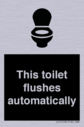this-toilet-flushes-automatically~